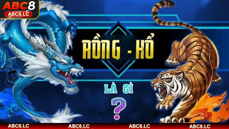 Tổng quan về rồng hổ ABC8